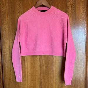 Mr. Mittens!! 100% wool Pink Cropped Sweater XS - S